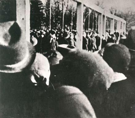 Německá okupace Těšínského Slezska Hromadná poprava 24 polských odbojářů v Těšíně dne 20. března 1942.