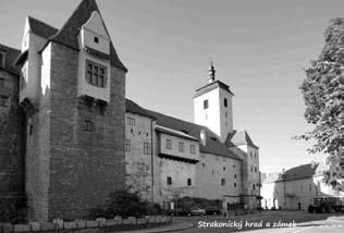 Město později proslulo jako jedno ze středisek jihočeského rybářství. Roku 1420 ho dobyl Jan Ţiţka a poté se přidalo k husitům. V druhé polovině 15. stol.