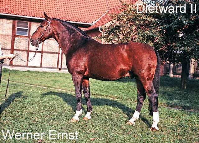 Příloha 10: DIETWARD (1966), Duft II Funkenblatt po Futurist I