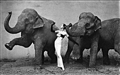 Tam pozvedl v průběhu dvou desetiletí módní fotografii na uměleckou úroveň tím, že se nepodřizoval tradici, podle níž musejí modely za každou cenu