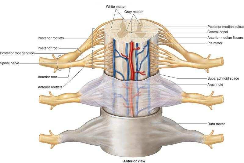 http://fightsciencesresearchinstitute.files.wordpress.