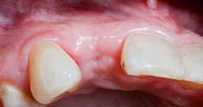 2011 je držitelem osvědčení odbornosti praktický zubní lékař parodontolog a stomatochirurg. Od r. 2012 je členem a organizátorem ITI (International Team for Implantology).