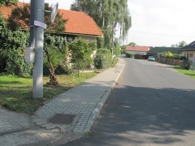 Ořez křovin provedli otec Miroslav a syn Petr Burešovi, k prořezu suchých větví na stromě byla objednána
