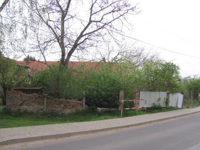 bývalého domku, rostou tam křoviska a náletové rostliny a