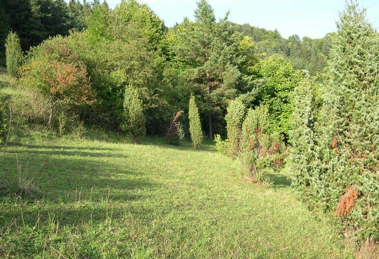2015. 2. Spasená plocha. 2. 9.
