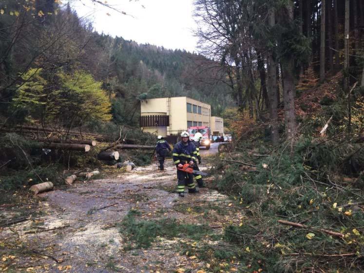 Obec Høensko byla celý den odøíznuta od svìta a hasièi po celý den likvidovali následky vìtrné smršti.