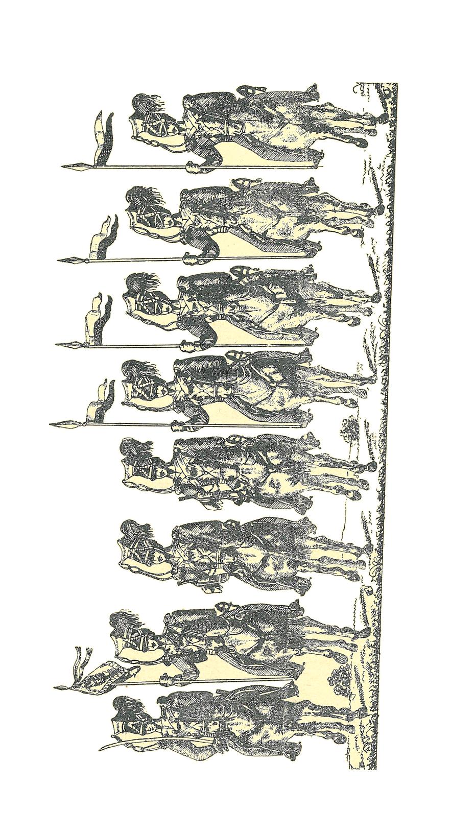 185. \: Www. ph... A mri.. xšťu-í;...: v.v.l, += EE..!, Ma./ŽL.. rl:.. rim KŘ n..! v.! gf....... rl 4.