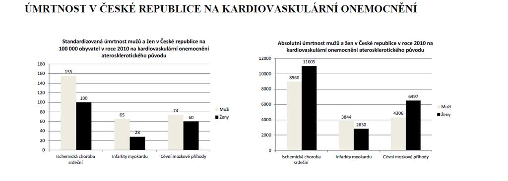 Zdroj: Ročenka