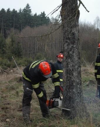 prostředků byl vytvořen nový trenažér na odvětvování, který lze používat i ve vnitřních prostorách.
