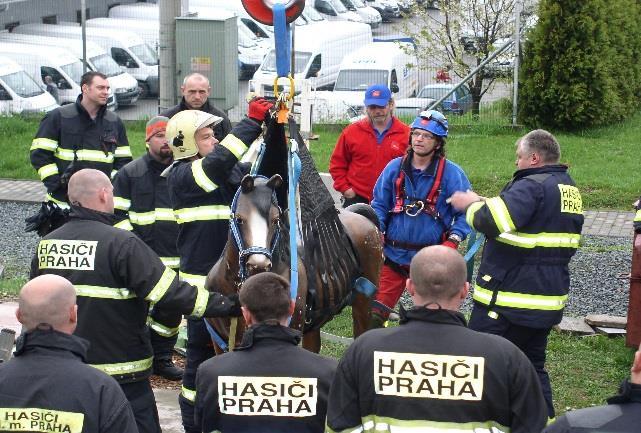 Uvádíme jen výčet nejdůležitějších aktivit. 8.