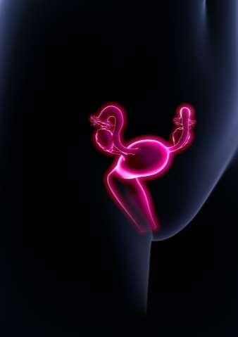 Ženské pohlavné organy - vaječníky (ováriá) Počas detstva sa v nich nachádza množstvo folikulov od 1-6 mm. V detstve všetky vyvinutejšie folikuly atrofujú.