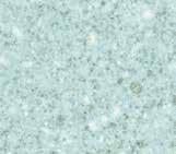 S66019 (F8237)