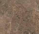 S63001 (R6251)