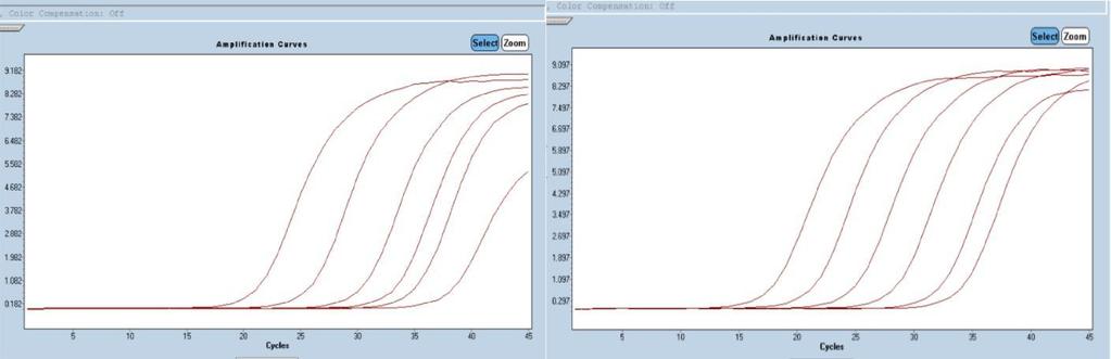 Nepřesnosti kalibračních křivek se projevovali zejména tam, kde byly použity nově navrženy primery (E2B, E1AB, L1AB a L2AB), jelikož pomocí těchto primerů byl ohraničen a amplifikován mnohem delší