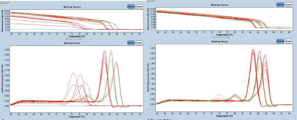 26 Kalibrační křivky HPV 58 melting zkoumaný E2, L2,E6 gen (primer E2B,L2A,E6) před a po linearizaci Kalibrační řady pro genotypy HPV 52 a