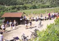 cz  Bítov, Camp Bítov Horka