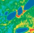 Infrared imaging microscopes allow for the rapid screening of large tissue samples.