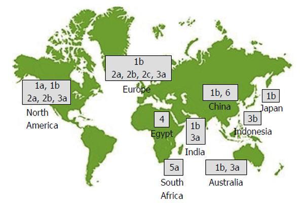 v odborných kruzích názor, že infekce genotypy 1 a 2 se rozšířila do celého světa z Afriky a infekce subtypem 3a z indického subkontinentu.