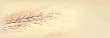 citronem, s brusinkou cena za 100 g = 49,67 59,90 32 90