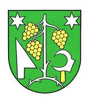 Všeobecne záväzné nariadenie Obce Častkov č. 6/2016 o registratúrnom poriadku obce Častkov VZN - návrh VZN č. 6/2016 Vyvesený na úradnej tabuli obce Častkov dňa: 08.04.