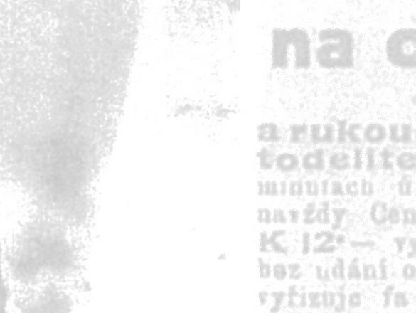 29 250g Medailonky  opečenou