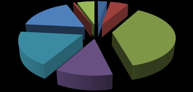 bankovní poplatky 1% představenstvo 5% výdaje www 3% fotosoutěž,kron ikáři 6% příspěvek, služby, člen. přís. OS Aktivios 17% publikace 38% manažer 18% sakr. stavby 12% 4.