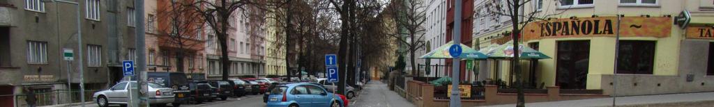 problém ale představují parkující vozidla, která zasahují do pruhu pro