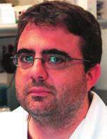 He is the head of the Molecular Histopathology Laboratory in the Cattinara Hospital in Trieste.