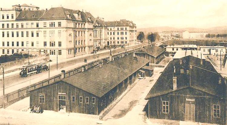 Ve studijním roce 1904/1905 bylo rozhodnuto o stavbě nového objektu na tzv.