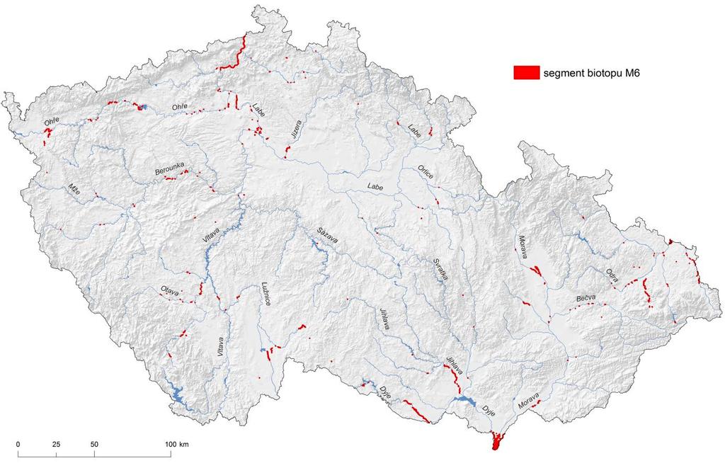 3.5. Stav a rozšíření biotopu v České republice Biotop M6 Bahnité říční náplavy je v České republice rozšířen na neregulovaných, případně jen mírně regulovaných úsecích větších řek.