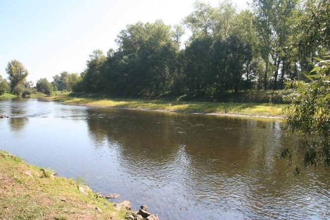 snímků.
