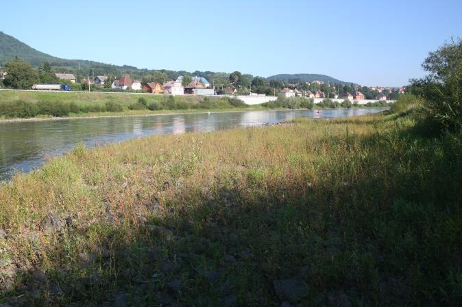 Nebočad.
