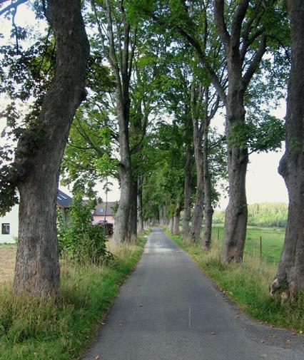 FOTODOKUMETACE HODOTY V OBCI