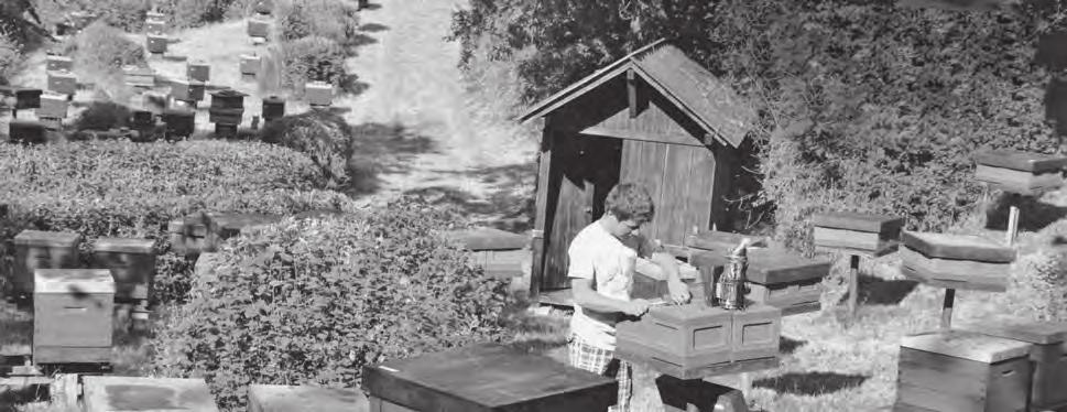 Správná cesta k hledání včel odolných proti varroáze (Paul Jungels; Deutsches Bienen-Journal, 2015, č. 7, str. 15 17) Souhrn: Chov včel vykročil novou cestou.