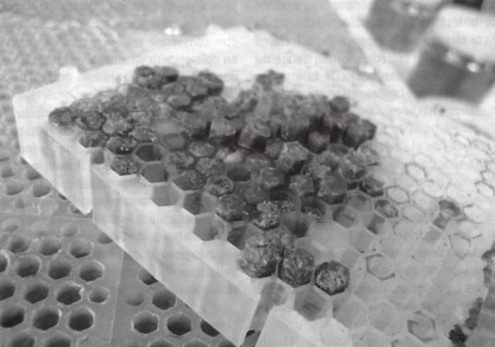 Perga obsahuje flavonoidy, polyfenoly, fytosteroly, kamferol (který pomáhá v prevenci proti osteoporóze), auxin a nukleové kyseliny.