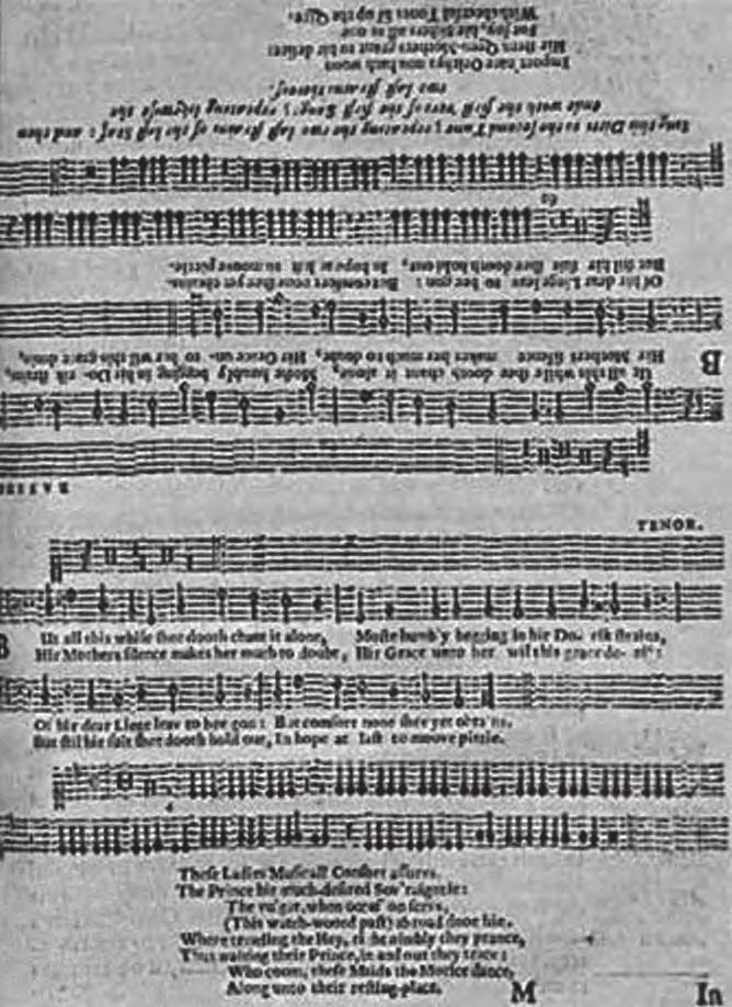 V roce 1609 Charles Butler použil hudební notový záznam, aby zaznamenal, že slyšel dva různé tóny pípajících včelích matek. a dodal, že nemůžeme vyloučit úlohu hmatových podnětů v komunikaci.