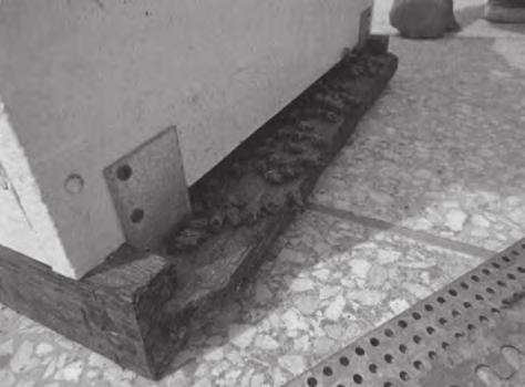 mozřejmě med. Na pultě měl vyloženo 15 malých skleniček s různými druhy medu a hned jsme ho začali postupně ochutnávat.