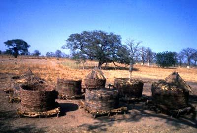 AFRIKA: