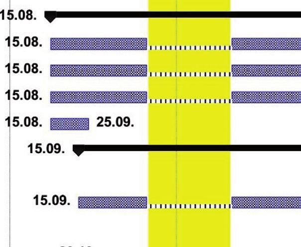 Forma grafického znázornění: Datum zahájení a dokončení činnosti Definice mřížky: Zobrazení zimní techno logické přestávky / zimního období: Umístění názvu činnosti přímo do grafu nad grafické