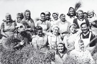 Stohování