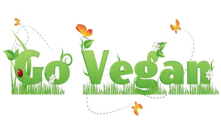VEGAN MARGHERITA 1 (není vhodná na rozvoz) (tomat, veganský sýr, čerstvá bazalka) VEGAN FUNGHI 1 (tomat, veganský sýr, žampiony) VEGAN BROCCOLI 1 (tomat, veganský sýr, brokolice) VERDURE 1 (tomat,