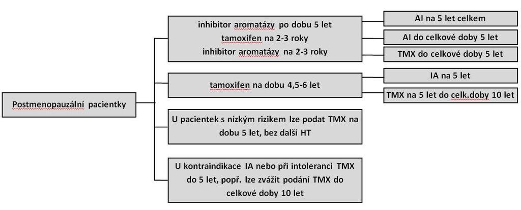 Gallen 2015): Postmenopauzální pacientky: Možnosti adjuvantní chemoterapie: - doxorubicin + fluorouracil (AC) 4-6 cyklů - fluorouracil + epirubicin + cyklofosfamid (FEC100) 6 cyklů (věk < 35 let) -