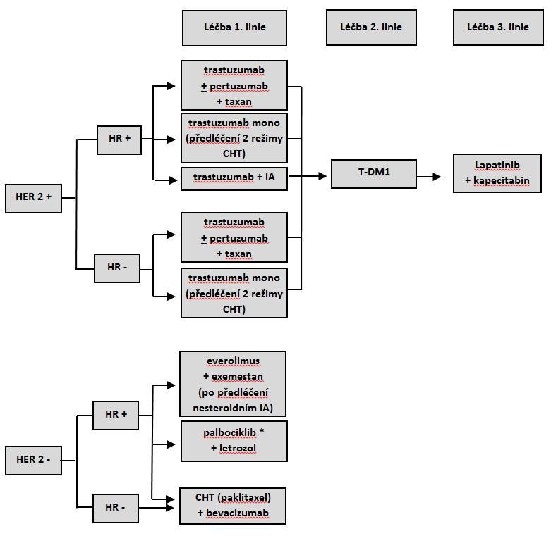 Možnosti biologické léčby pokročilého a metastatického karcinom prsu: HR hormonální receptory, CHT chemoterapie, IA inhibitor aromatázy, T-DM1 trastuzumab emtansin, *) dosud nemá úhradu ZP e)