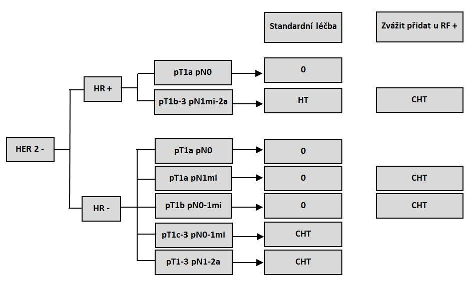 hormonální receptory, HT hormonální terapie, CHT chemoterapie, trast trastuzumab, RF