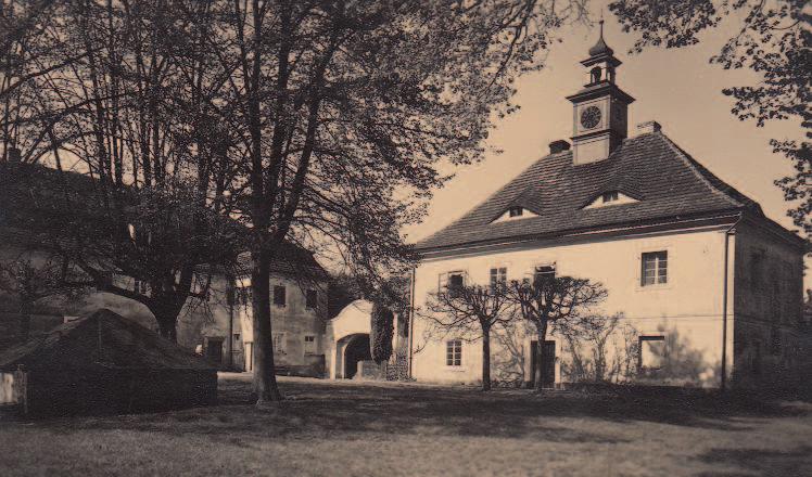 Poukázku na nákup zboží v hodnotě 100,- Kč v obchodu se smíšeným zbožím paní Ireny Vokurkové si může vyzvednout na OÚ.