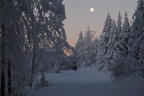 Běžecké okruhy okolo Paprsku Velký Šengen 17 km Malý Šengen: 8 km Malá Pralinka: 3 km Pralinka: 8 km Pohádka: 9,5 km Medvědí: 8,5 km Kuní sedlo: 10 km Trnová hora - Milíře: 12 km Od Paprsku