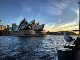 Porovnejte průměrné mzdy zde Srovnáme li pozici waiter/waitress, jednu z nejvíce pozic obsazovanou právě studenty, dostaneme se mezi lépe (Melbourne, Perth) a hůře (Sydney, Brisbane) placeným městem