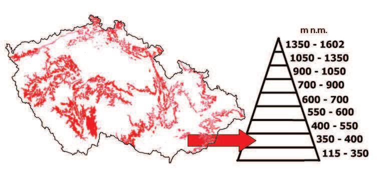 Modul Dendrologie RNDr. Oldřich Vacek, CSc.; Ing. Miroslav Ezechel 2.