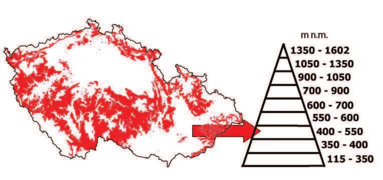 Modul Dendrologie RNDr. Oldřich Vacek, CSc.; Ing. Miroslav Ezechel 2.