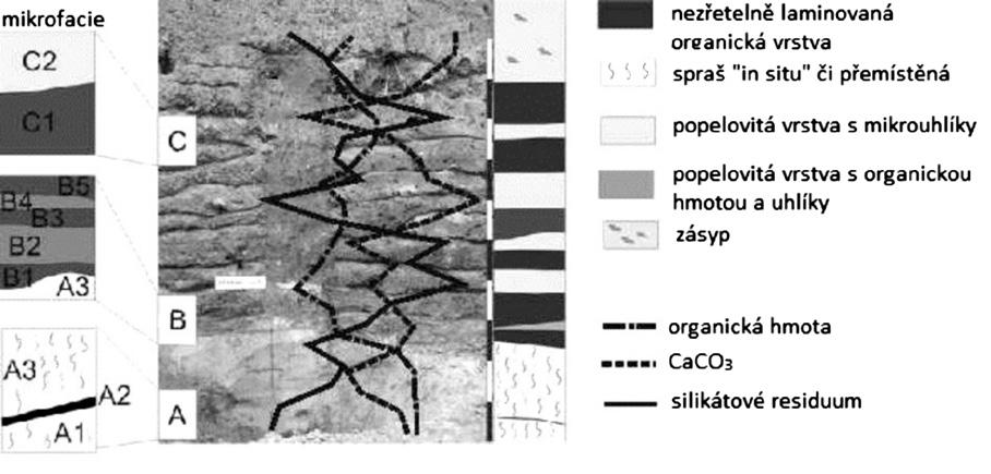 ven v programu POLPAL včetně numerických analýz (Nalepka Walanus 2003). Numerická metoda CONSLINK umožňuje klastrovou analýzu a shlukuje pylová spektra na základě stratigrafických omezení.